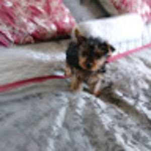 Meet your Posher, Erick